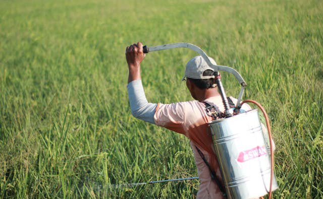 Innowacje w Pestycydach: W Kierunku Zrównoważonego Rolnictwa i Ochrony Środowiska