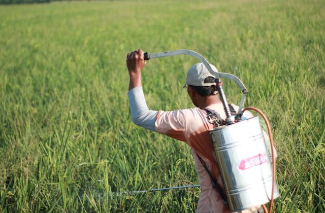 Innowacje w Pestycydach: W Kierunku Zrównoważonego Rolnictwa i Ochrony Środowiska